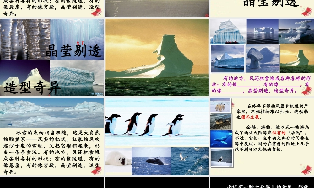 三年级语文下册 第5单元 24《南极风光》课件5 沪教版-沪教版小学三年级下册语文课件