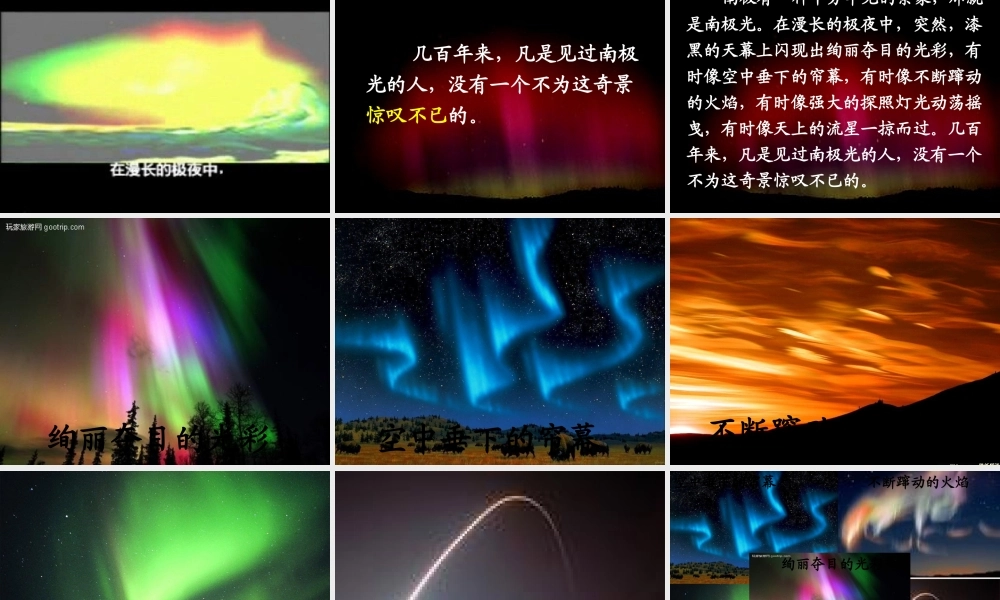 三年级语文下册 第5单元 24《南极风光》课件5 沪教版-沪教版小学三年级下册语文课件