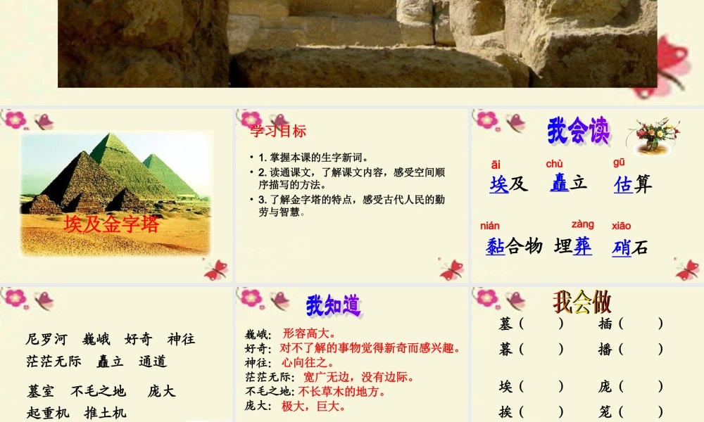 三年级语文下册 第5单元 25《埃及金字塔》课件2 沪教版-沪教版小学三年级下册语文课件