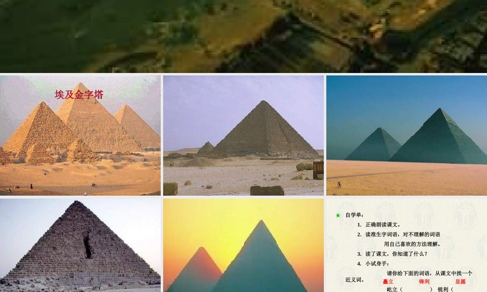 三年级语文下册 第5单元 25《埃及金字塔》课件4 沪教版-沪教版小学三年级下册语文课件