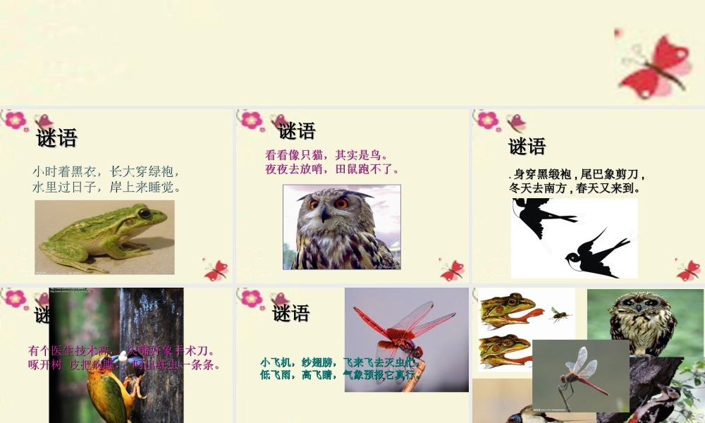 三年级语文下册 习作六《谈谈自己的看法》课件1 苏教版-苏教版小学三年级下册语文课件