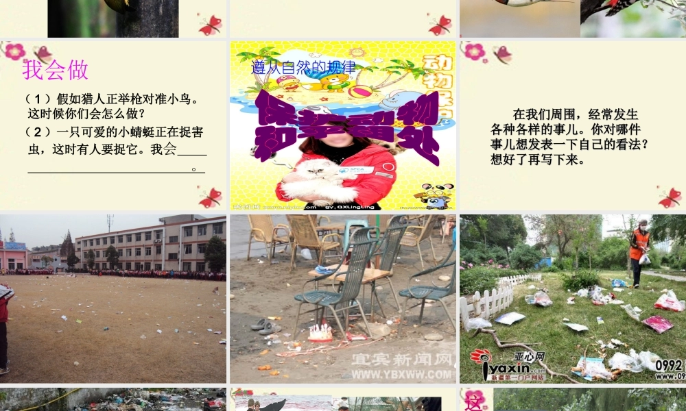 三年级语文下册 习作六《谈谈自己的看法》课件1 苏教版-苏教版小学三年级下册语文课件