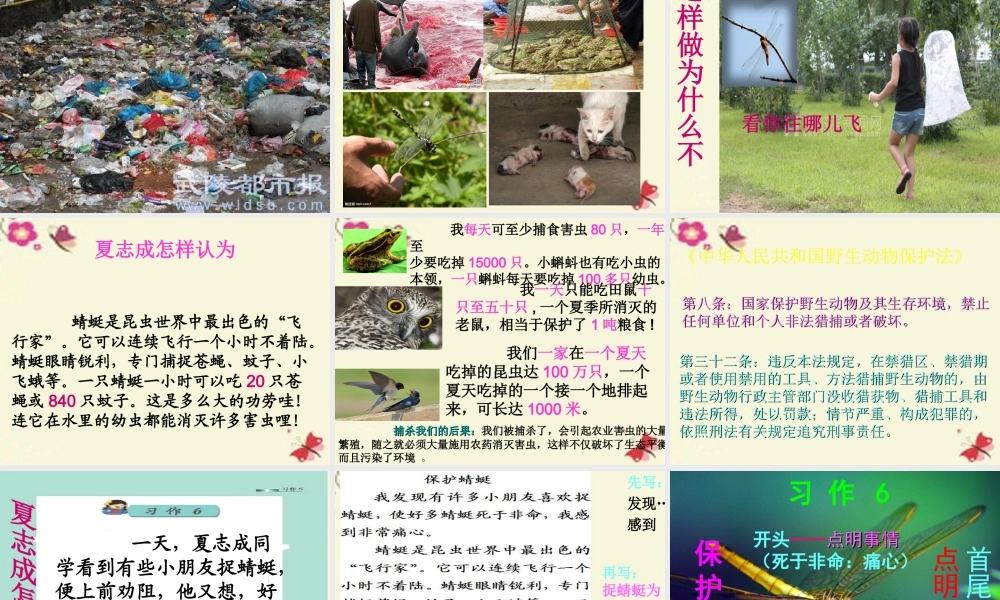 三年级语文下册 习作六《谈谈自己的看法》课件1 苏教版-苏教版小学三年级下册语文课件