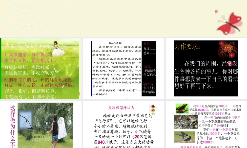 三年级语文下册 习作六《谈谈自己的看法》课件3 苏教版-苏教版小学三年级下册语文课件