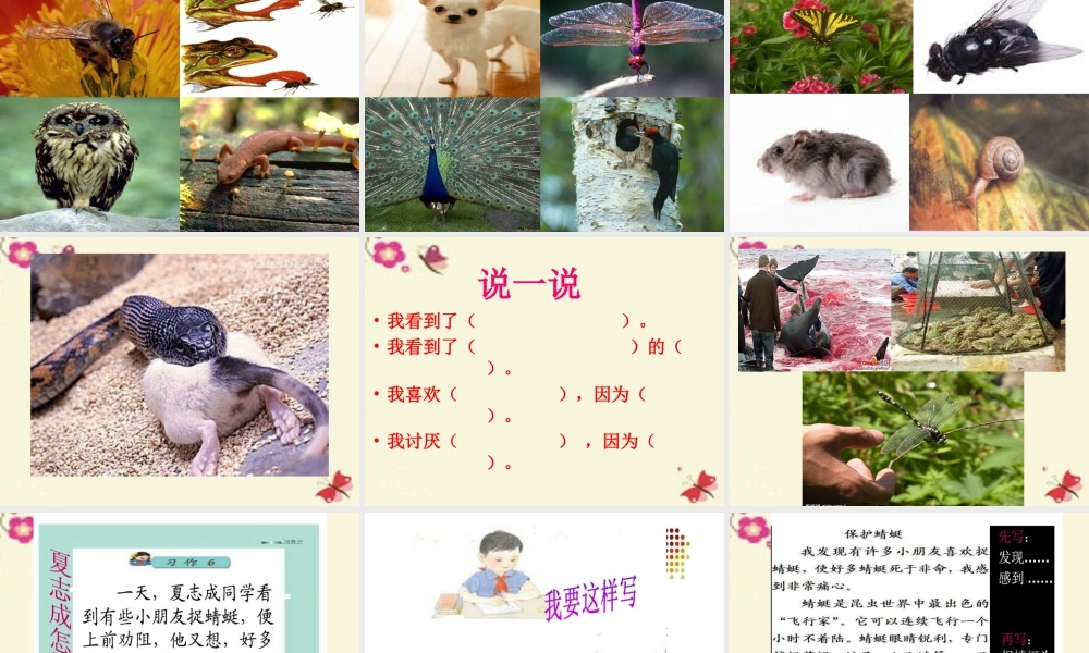 三年级语文下册 习作六《谈谈自己的看法》课件4 苏教版-苏教版小学三年级下册语文课件