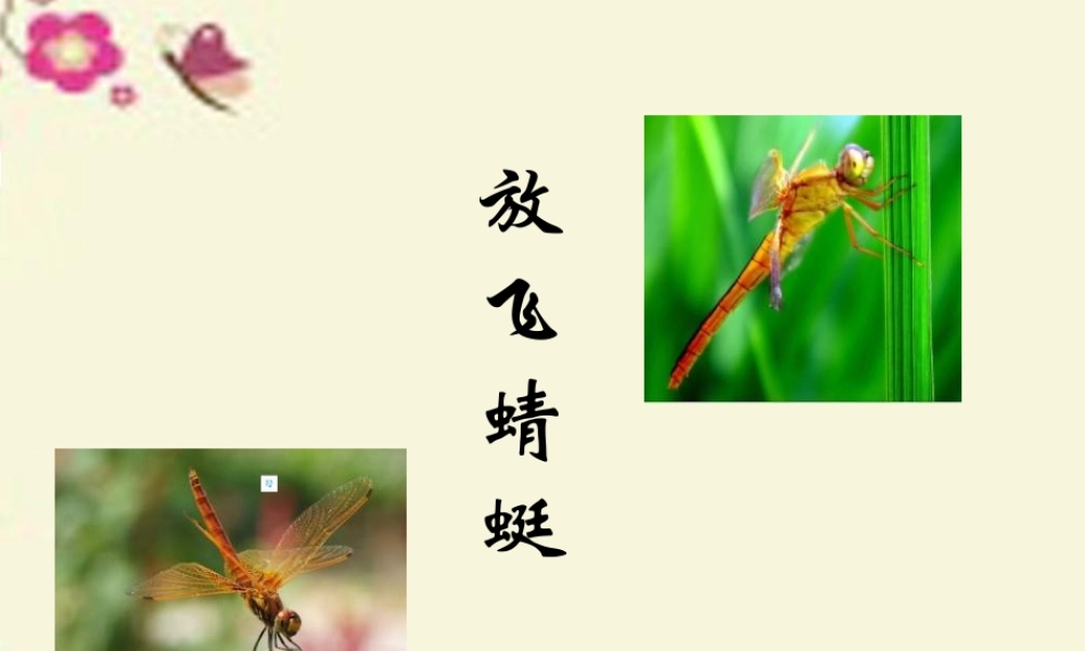 三年级语文下册 第6单元 21《放飞蜻蜓》课件1 语文S版-语文S版小学三年级下册语文课件