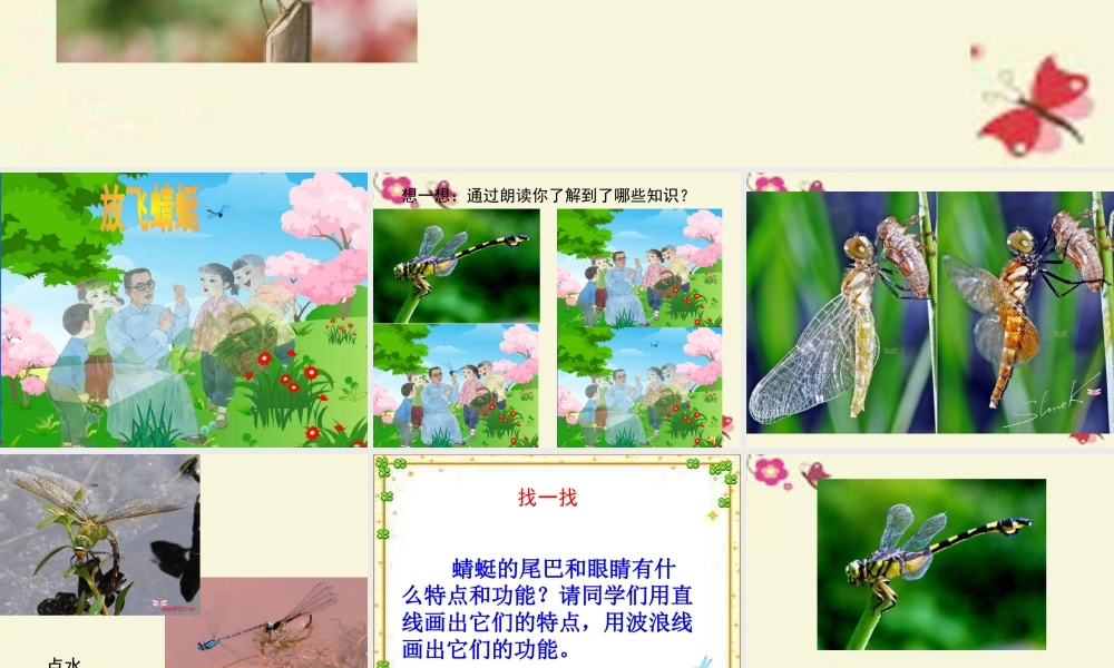 三年级语文下册 第6单元 21《放飞蜻蜓》课件1 语文S版-语文S版小学三年级下册语文课件