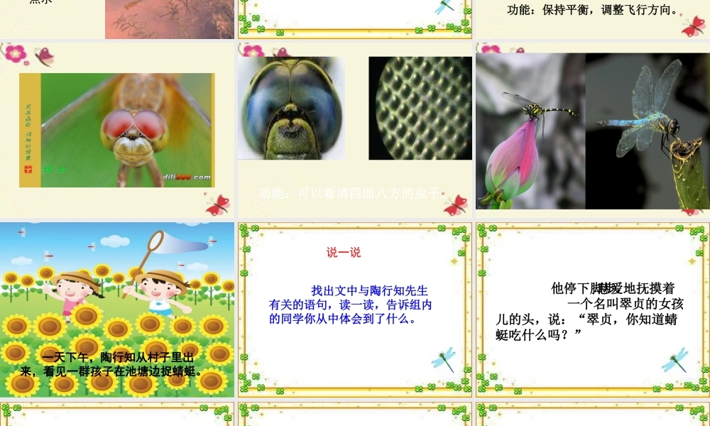 三年级语文下册 第6单元 21《放飞蜻蜓》课件1 语文S版-语文S版小学三年级下册语文课件