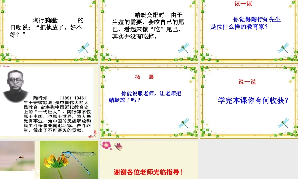 三年级语文下册 第6单元 21《放飞蜻蜓》课件1 语文S版-语文S版小学三年级下册语文课件