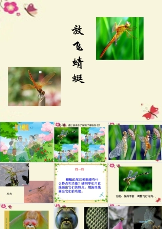 三年级语文下册 第6单元 21《放飞蜻蜓》课件1 语文S版-语文S版小学三年级下册语文课件