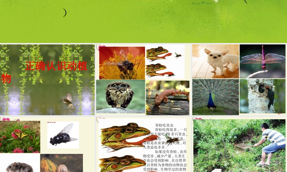 三年级语文下册 习作六《谈谈自己的看法》课件5 苏教版-苏教版小学三年级下册语文课件