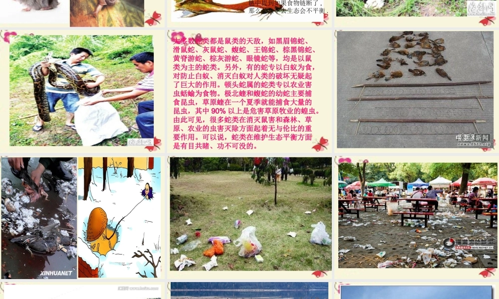 三年级语文下册 习作六《谈谈自己的看法》课件5 苏教版-苏教版小学三年级下册语文课件