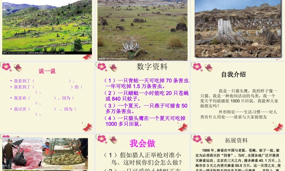 三年级语文下册 习作六《谈谈自己的看法》课件5 苏教版-苏教版小学三年级下册语文课件