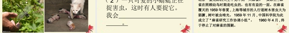 三年级语文下册 习作六《谈谈自己的看法》课件5 苏教版-苏教版小学三年级下册语文课件