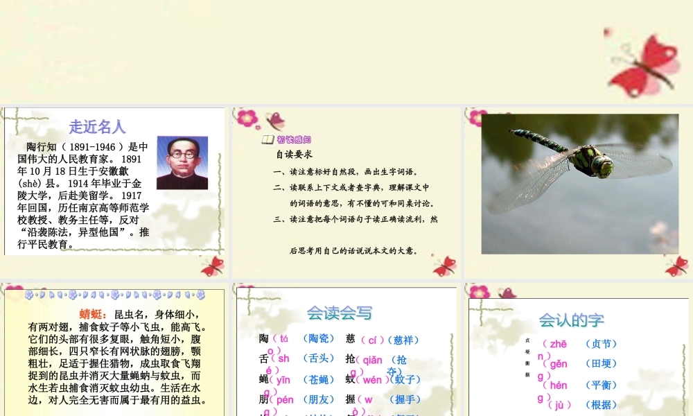 三年级语文下册 第6单元 21《放飞蜻蜓》课件2 语文S版-语文S版小学三年级下册语文课件