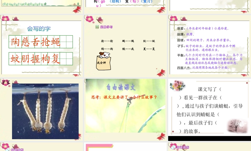 三年级语文下册 第6单元 21《放飞蜻蜓》课件2 语文S版-语文S版小学三年级下册语文课件