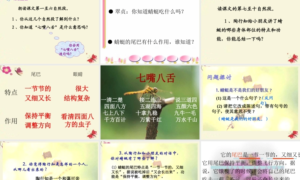 三年级语文下册 第6单元 21《放飞蜻蜓》课件2 语文S版-语文S版小学三年级下册语文课件