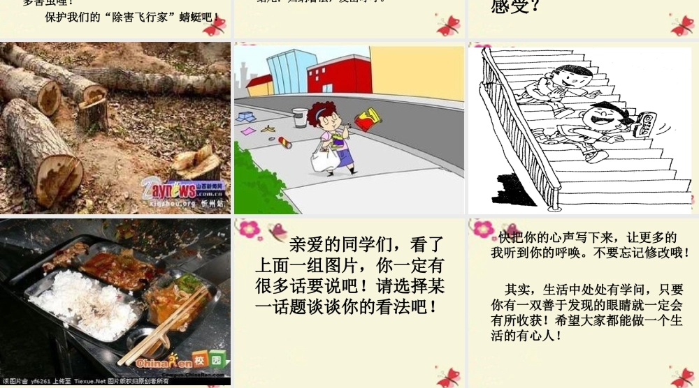 三年级语文下册 习作六《谈谈自己的看法》课件6 苏教版-苏教版小学三年级下册语文课件