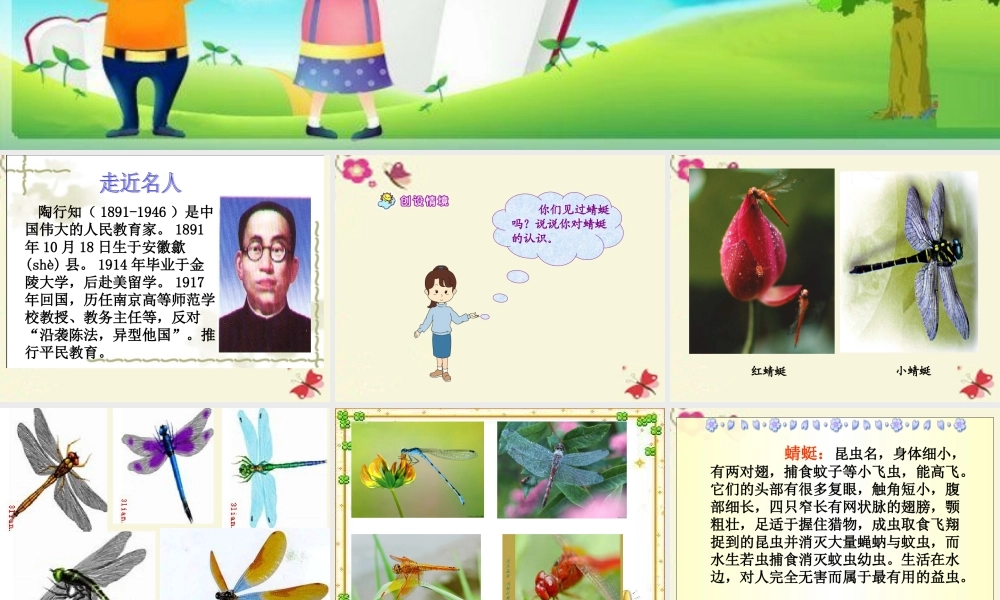 三年级语文下册 第6单元 21《放飞蜻蜓》课件3 语文S版-语文S版小学三年级下册语文课件
