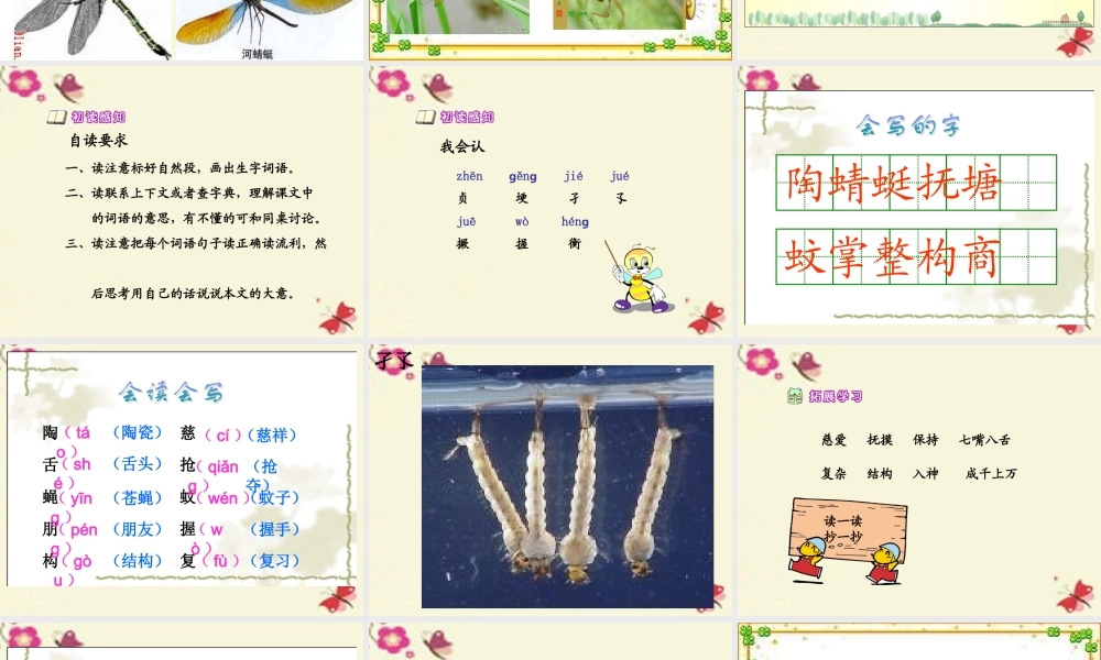 三年级语文下册 第6单元 21《放飞蜻蜓》课件3 语文S版-语文S版小学三年级下册语文课件