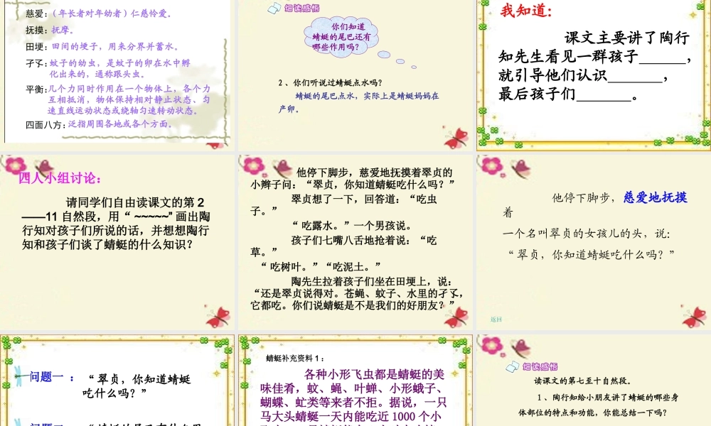 三年级语文下册 第6单元 21《放飞蜻蜓》课件3 语文S版-语文S版小学三年级下册语文课件