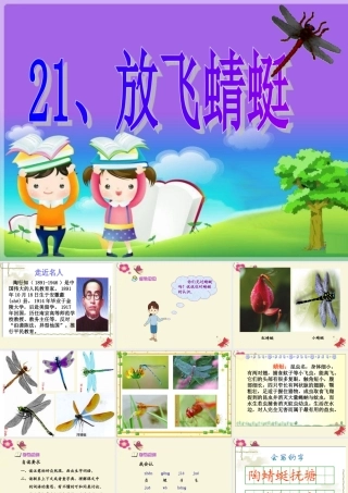 三年级语文下册 第6单元 21《放飞蜻蜓》课件3 语文S版-语文S版小学三年级下册语文课件