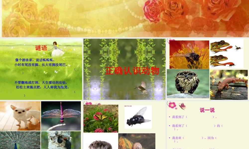 三年级语文下册 习作六《谈谈自己的看法》课件7 苏教版-苏教版小学三年级下册语文课件