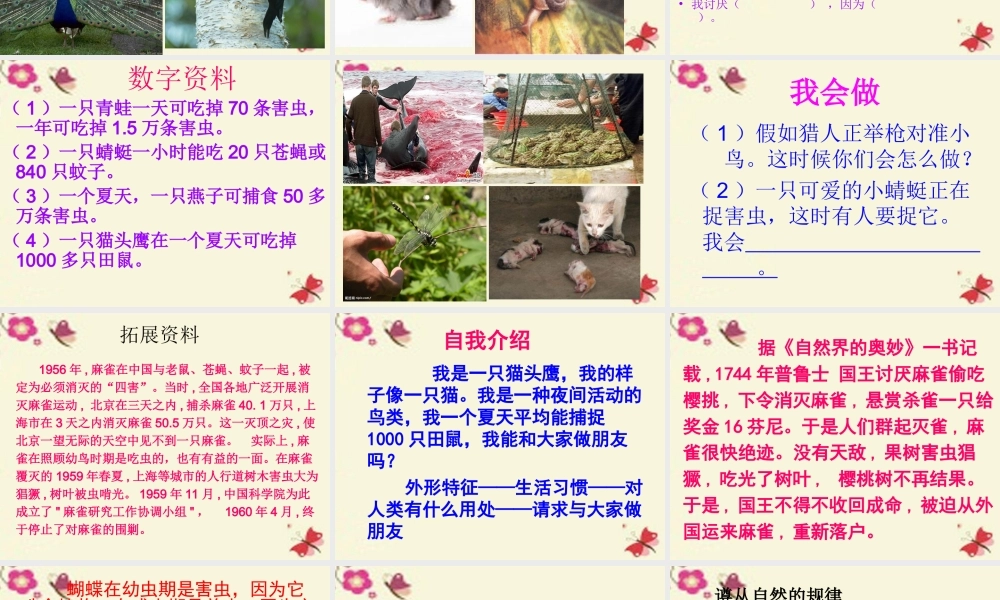 三年级语文下册 习作六《谈谈自己的看法》课件7 苏教版-苏教版小学三年级下册语文课件