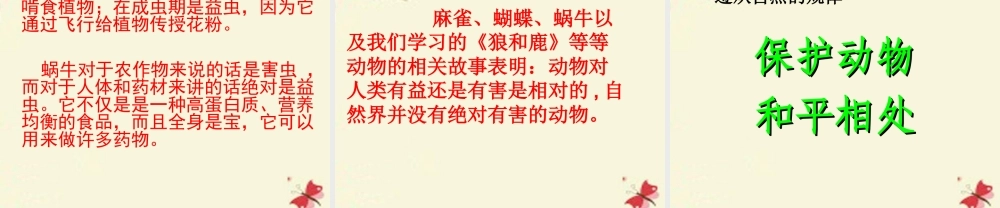 三年级语文下册 习作六《谈谈自己的看法》课件7 苏教版-苏教版小学三年级下册语文课件