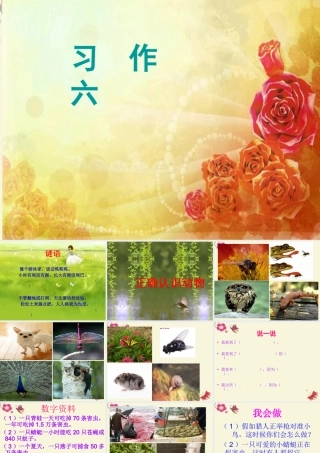 三年级语文下册 习作六《谈谈自己的看法》课件7 苏教版-苏教版小学三年级下册语文课件