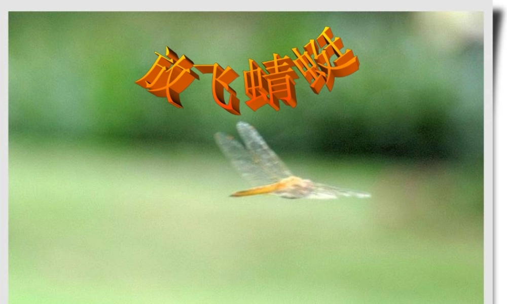 三年级语文下册 第6单元 21《放飞蜻蜓》课件4 语文S版-语文S版小学三年级下册语文课件