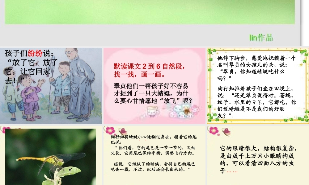 三年级语文下册 第6单元 21《放飞蜻蜓》课件4 语文S版-语文S版小学三年级下册语文课件