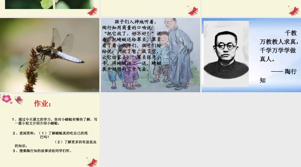 三年级语文下册 第6单元 21《放飞蜻蜓》课件4 语文S版-语文S版小学三年级下册语文课件