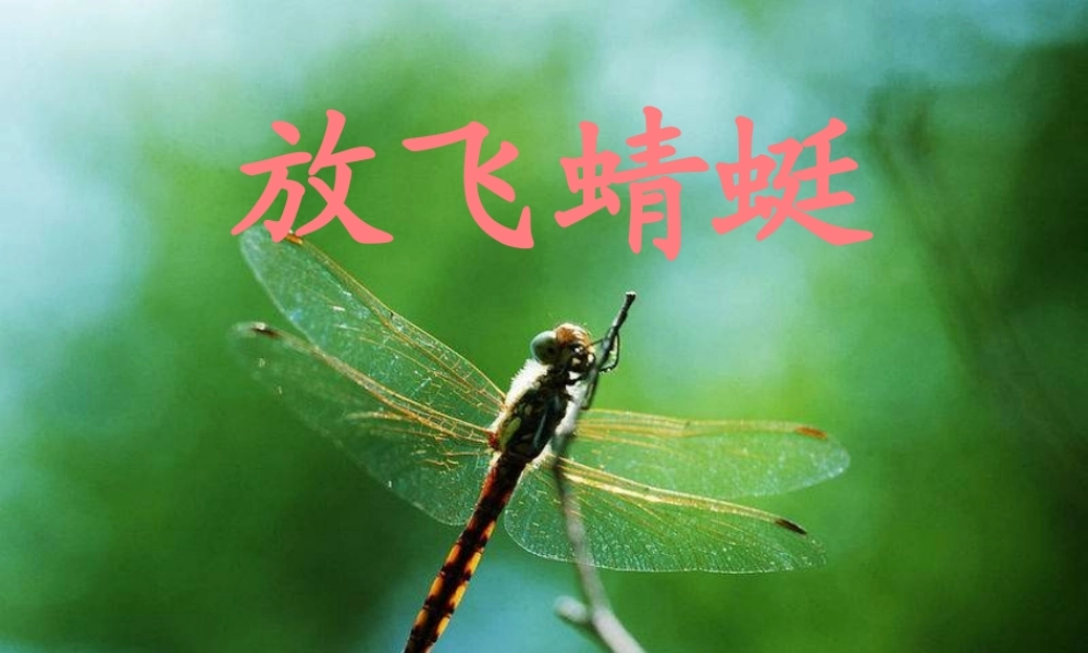 三年级语文下册 第6单元 21《放飞蜻蜓》课件5 语文S版-语文S版小学三年级下册语文课件