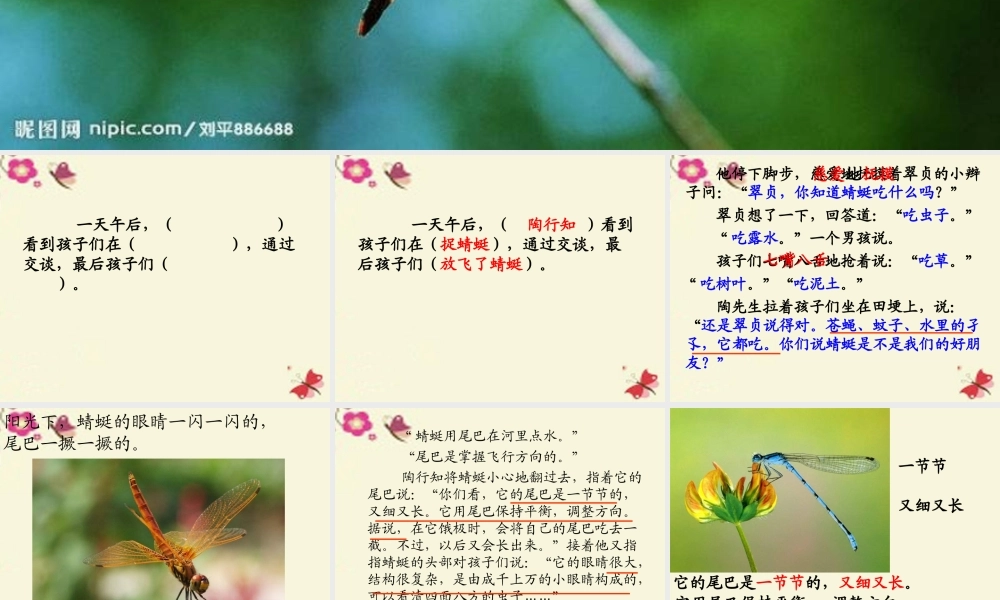 三年级语文下册 第6单元 21《放飞蜻蜓》课件5 语文S版-语文S版小学三年级下册语文课件