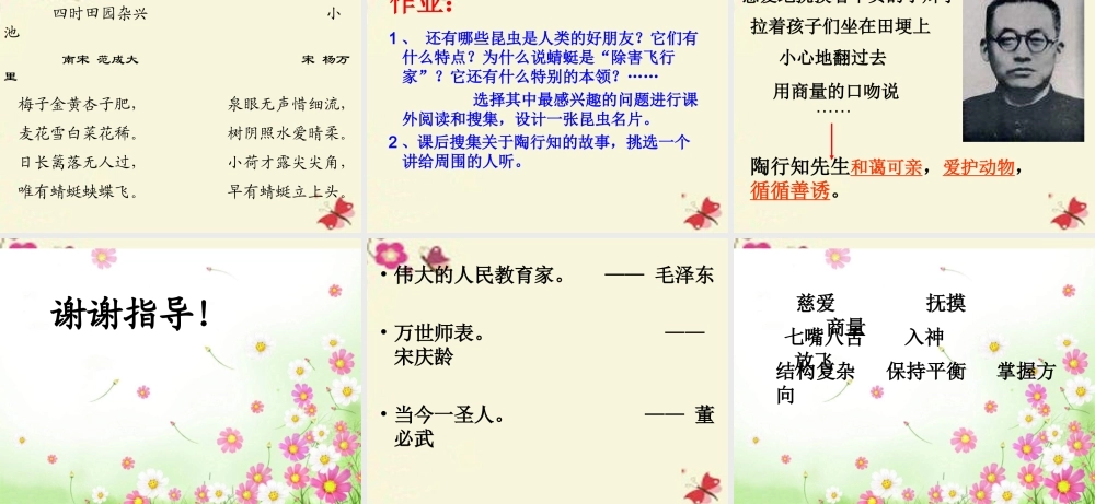 三年级语文下册 第6单元 21《放飞蜻蜓》课件5 语文S版-语文S版小学三年级下册语文课件