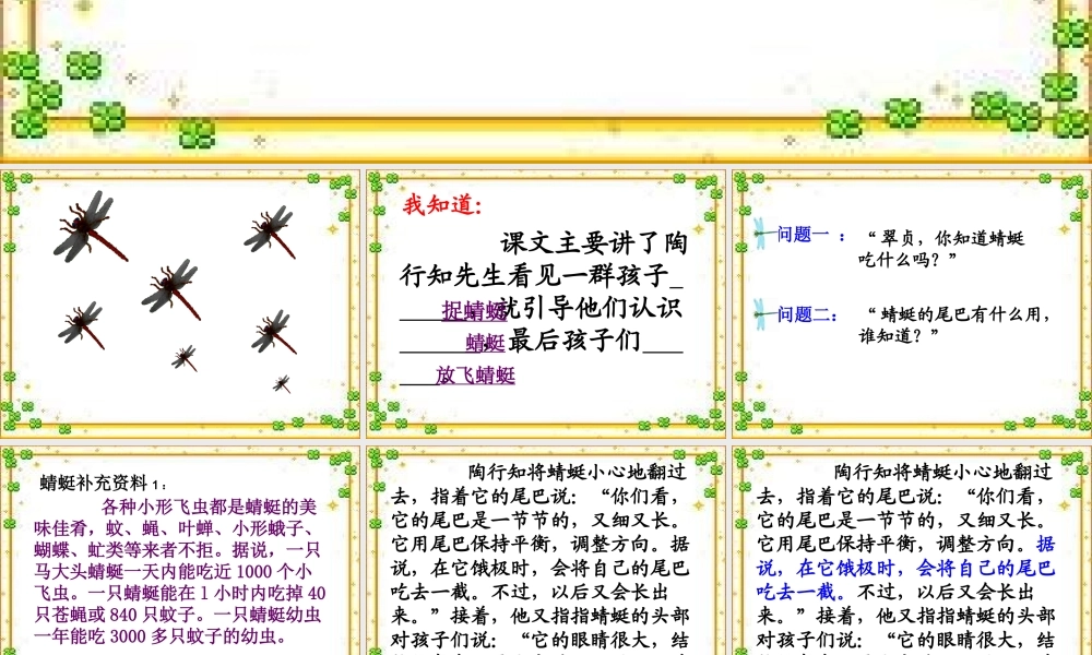 三年级语文下册 第6单元 21《放飞蜻蜓》课件6 语文S版-语文S版小学三年级下册语文课件