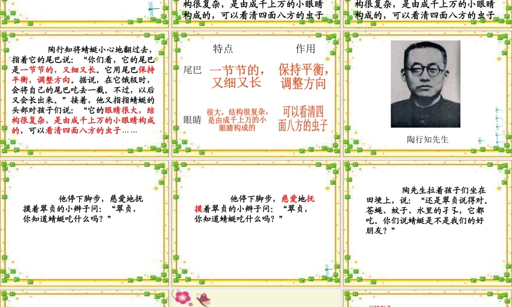 三年级语文下册 第6单元 21《放飞蜻蜓》课件6 语文S版-语文S版小学三年级下册语文课件