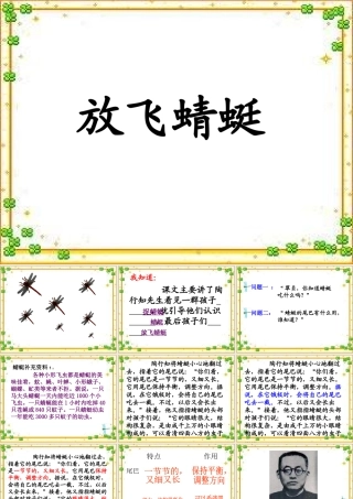 三年级语文下册 第6单元 21《放飞蜻蜓》课件6 语文S版-语文S版小学三年级下册语文课件