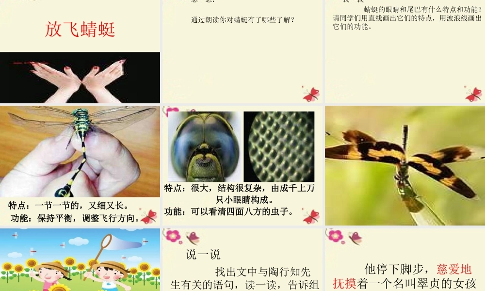 三年级语文下册 第6单元 21《放飞蜻蜓》课件7 语文S版-语文S版小学三年级下册语文课件