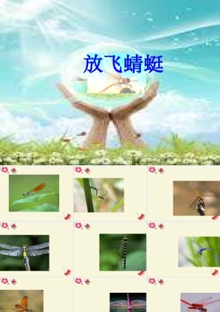 三年级语文下册 第6单元 21《放飞蜻蜓》课件7 语文S版-语文S版小学三年级下册语文课件