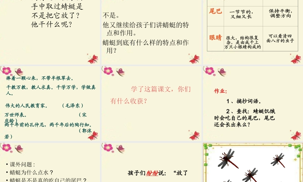 三年级语文下册 第6单元 21《放飞蜻蜓》课件8 语文S版-语文S版小学三年级下册语文课件