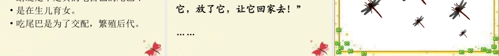 三年级语文下册 第6单元 21《放飞蜻蜓》课件8 语文S版-语文S版小学三年级下册语文课件