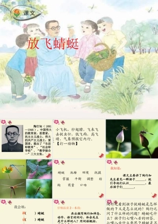 三年级语文下册 第6单元 21《放飞蜻蜓》课件8 语文S版-语文S版小学三年级下册语文课件