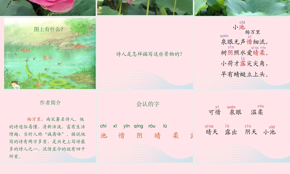 三年级语文下册 第31课《古诗两首》课件 西师大版-西师大版小学三年级下册语文课件