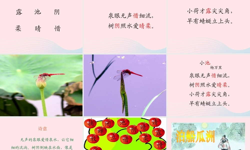 三年级语文下册 第31课《古诗两首》课件 西师大版-西师大版小学三年级下册语文课件