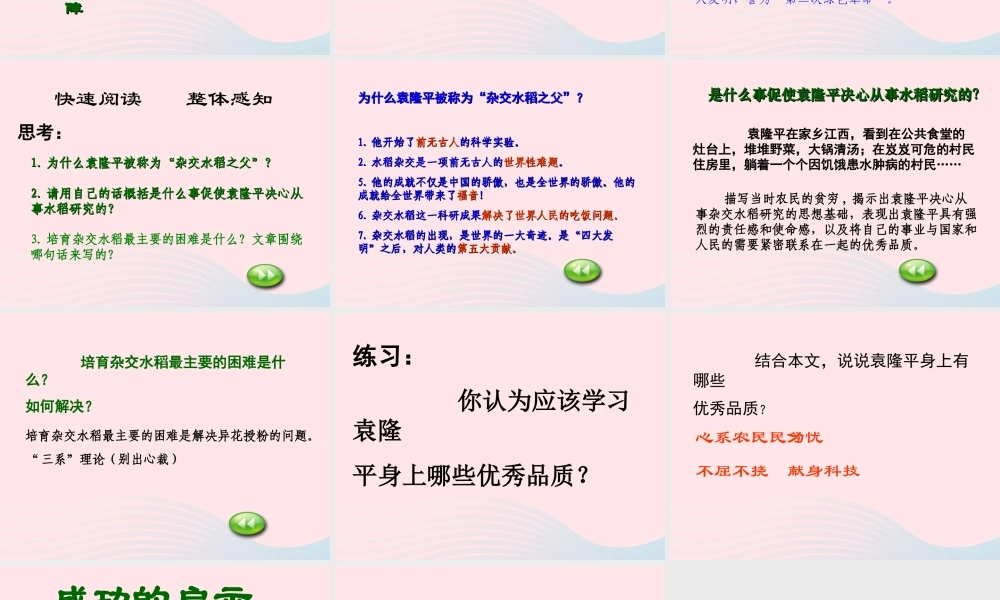 三年级语文下册 第35课《杂交水稻之父》课件 西师大版-西师大版小学三年级下册语文课件