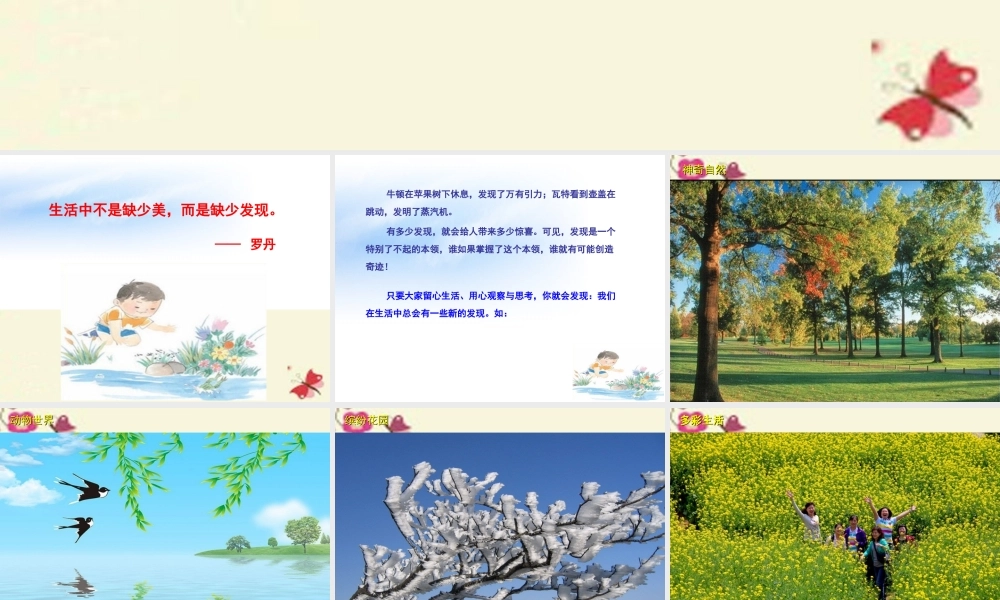 三年级语文下册 习作三《我的新发现》课件1 苏教版-苏教版小学三年级下册语文课件