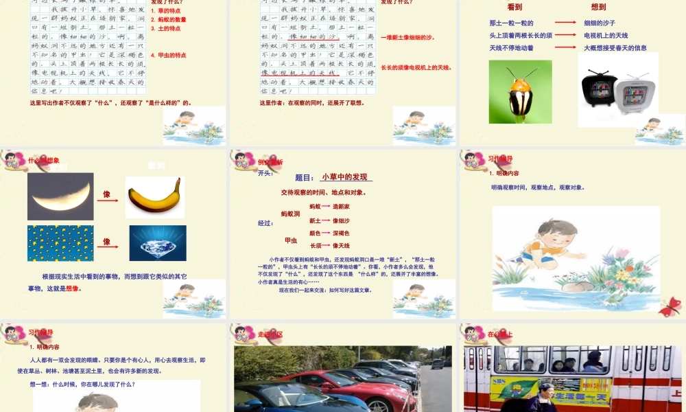 三年级语文下册 习作三《我的新发现》课件1 苏教版-苏教版小学三年级下册语文课件