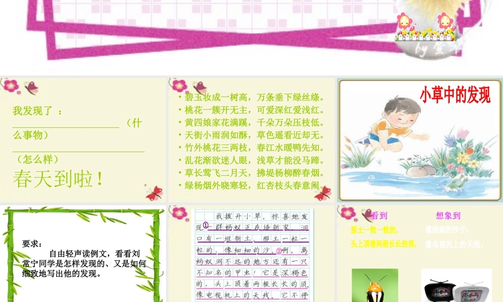 三年级语文下册 习作三《我的新发现》课件2 苏教版-苏教版小学三年级下册语文课件